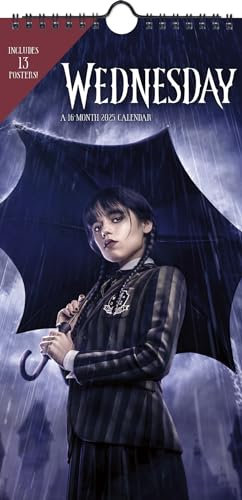 2025 Wednesday Mini Poster Calendar