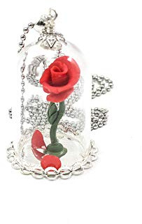 Collana Rosa rossa sotto campana di vetro catena acciaio