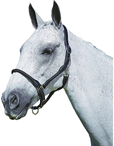 Kincade Leather Rope Headcollar, Black, Full