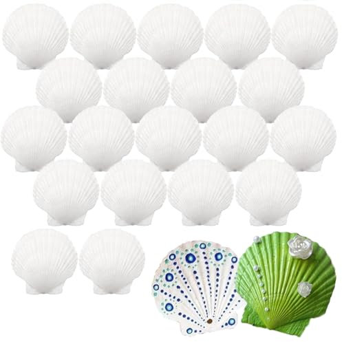 Wondora Lot de 20 Coquille Saint Jacques, 6-8cm Coquillage Naturelles Blanches, Grands Coquillage Decoration, AdaptéEs à La Peinture, Aux FêTes De Plage, à La DéCoration de Meubles, au Bricolage