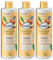 Balea 4er Set: Shampoo Natural Beauty mit Bio-Avocadoöl und Mangobutter, 3 x 400 ml + Topfpflanze künstlich
