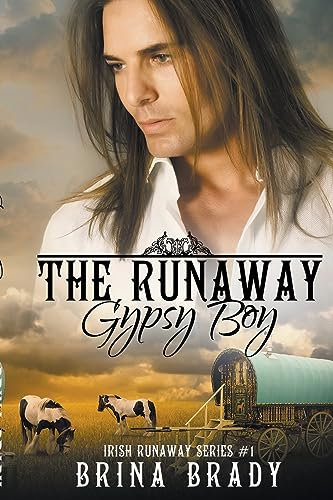 The Runaway Gypsy Boy (Irish Runaway, Band 1)