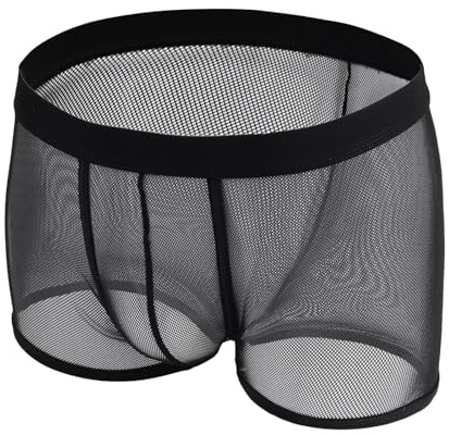 GENEMEN Mens Mesh Boxer Underwear Breathable Transparent Elastic Briefs Sexy Comfortable Underpants (Black, L)