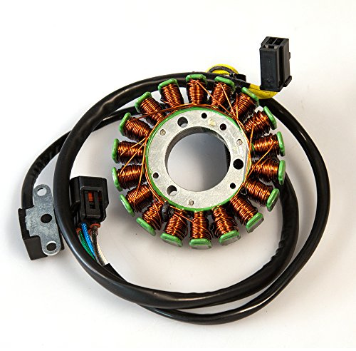 Motorrad Lichtmaschine Zündung Ersatz Stator kompatibel für DRZ 400 2001-2011
