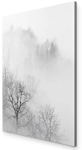 murando - Wandbilder Wald Nebel 60x90 cm 1 tlg - Wand Deko Vlies Leinwand Bilder Groß Wanddeko Wohnzimmer Schlafzimmer Kunstdrucke - schwarz weiß Bäume Natur Foto b-B-0355-b-a