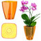 KADAX Blumentopf, schlanker Orchideentopf, Schlichter Pflanzkübel, Blumenkübel für Orchidee, Knabenkraut, Gänseblümchen, Übertopf für Küche und Wohnzimmer (⌀ 9cm, eckig, Orange)