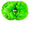 Hrlace 2 Stück Cheerleading Pompons Professional Cheerleader Pom Poms Kunststoff Handblumen Bunte Cheerleading Puschel mit Griff für Sportwettbewerb Cheer Dance Party Grün 3.5Zoll 21×26cm