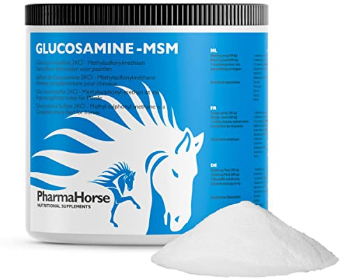 PharmaHorse Glucosamin & MSM | ausgewogene Mischung | 100% dopingfrei | Humanqualität | 100% frei von Zuckerzusätzen | 500 Gramm