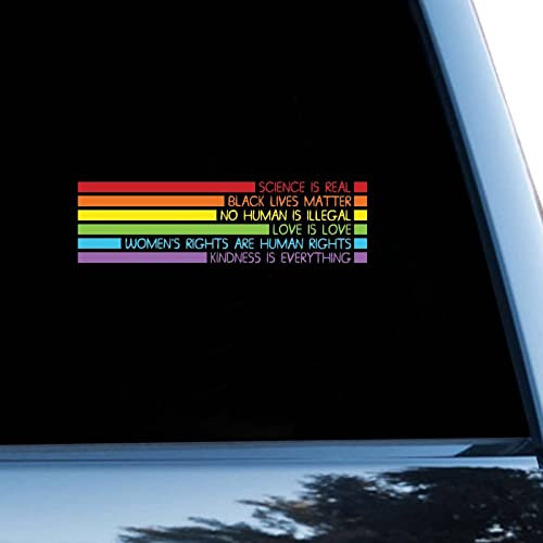 Pride Parade LGBT Autoaufkleber Fensteraufkleber Love Is Love Vinyl Aufkleber für Autos LKW Pansexuell Bisexuell LGBTQ Autoaufkleber 15,2 cm