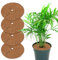 Yisscen Kokosscheibe, 4 Stück Kokos-Mulchscheibe, Winterschutzpflanzen Gartenarbeit, Coconut Mat Disc Mulch Topf Pflanzenschutzmatte für Home Hotel Garden (30cm)