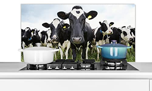 Credence Vaches - Herbe - Printemps - Animaux - Pré - Ferme Fond de hotte 100x50 cm Credence aluminium Plaque inox de cuisine