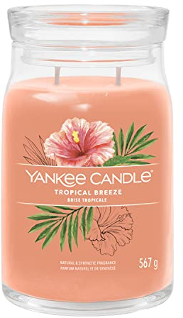Yankee Candle Signature Scented Candle | Tropical Breeze Large Jar Candle with Double Wicks | Soy Wax Blend Long Burning Candle | Perfect Gifts for Women (1629985E)