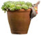 Bent legged rabbit Planter Hangers - Set of 1 Rustic Pot Clips for Plants, Outdoor Rabbit Decor - Terrariums & Indoor Vases