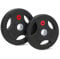 Lions Olympic Weight Plates 10kg Pair - Rubber Coated Cast Iron 2inch 5cm Discs Bar Hole Standard Weights Plates for Home Gym Barbell Bar, Weightlifting Training Fitness Workout