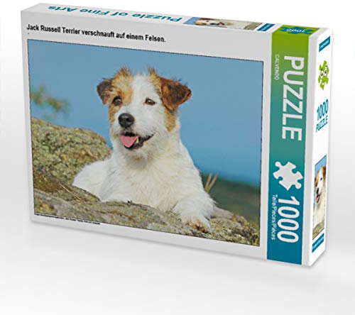 CALVENDO Puzzle Jack Russell Terrier verschnauft auf einem Felsen. 1000 Teile Lege-Größe 64 x 48 cm Foto-Puzzle Bild Verlag