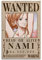 INKLOT Anime Nami Poster, dekoratives Gemälde, Leinwand, Wandposter und Kunstbild, modernes Familien-Schlafzimmer, Dekoration, Poster, 20 x 30 cm