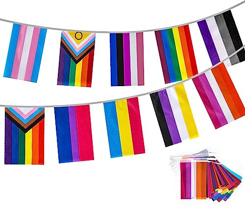 Alle Stolz Regenbogen Homosexuell Flaggen 10 Meter/32 Feet Pride Bunting Banner mit 30 Wimpel Flaggen Rechteck für Party Paraden Karneval Festival Pride Monat Dekorationen und Feiern
