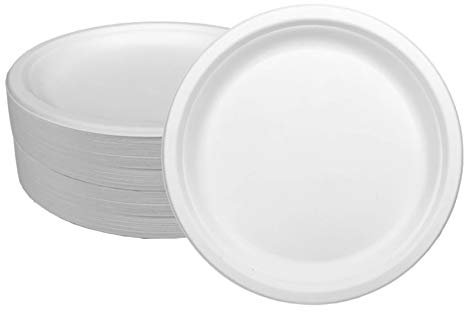 Ecorigin Platos desechables y ecológicos de caña de azúcar. Pack de 100 Unidades y 26 cm. Compostables y biodegradables.