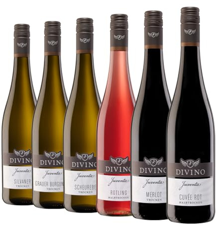 DIVINO Juventa Frankenwein Probierpaket - Silvaner, Grauer Burgunder, Scheurebe, Rotling, Merlot, Cuvée - Qualitätsweine direkt aus den Weinbergen Frankens (6 x 0,75l)