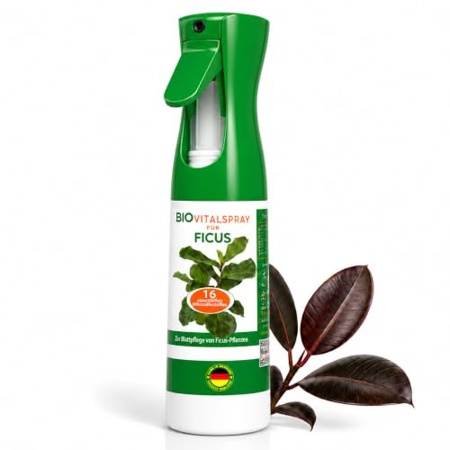 Garten Lux Ficus Dünger, Blattspray mit 16 Mikronährstoffen, 300 ml | Für Ficus Benjamina, Elastica, Lyrata, Microcarpa, BIO Formel, 16 Mikronährstoffe, nachfüllbar, 300ml