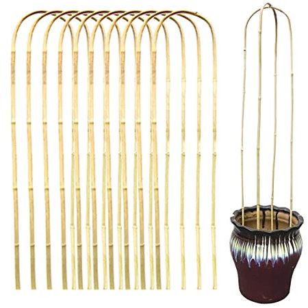 SUFUBAI Lot de 10 treillis en bambou en forme de U - 60 cm - Pour plantes en pot, escalade, pots - Pour intérieur et extérieur