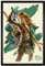 Legend of Zelda Tears of The Kingdom Link Unleashed Maxi-Poster, 61 x 91,5 cm, schwarzer Holzrahmen