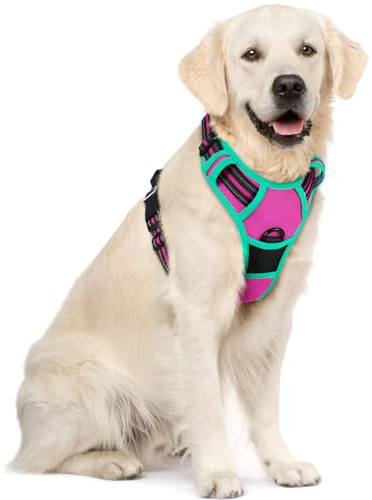 rabbitgoo Dog Harness Large Dog, No Pull Vest with Front Clip & Handle | No Choke, Adjustable, Breathable Padded, 2 Lead Rings, Reflective, Easy Control for Walking Training, XL, Rose & Mint