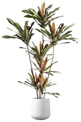 Krukväxter Falska växter Inomhusdekoration Golv Krukväxter Stora Simuleringsträd Vardagsrumsinredning Bonsai