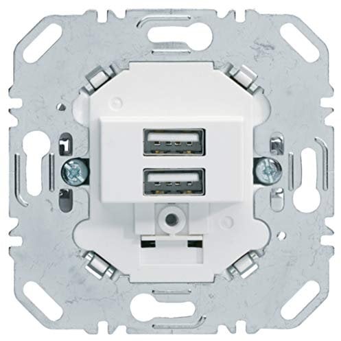 Toma USB 230V bl. polar, mate