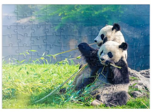 MyPuzzle Mutter Panda und Ihr Baby Panda beim Bambus Essen - Premium 100 Teile Puzzle - MyPuzzle Sonderkollektion von Puzzle Galaxy