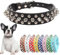 Hotlion Collares de perro con pinchos, correa para el cuello, collar de cachorro con remaches punk, duradero, ajustable para perros pequeños, medianos y grandes, negro, XS