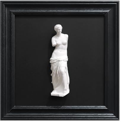 FOLKOR LIFE Framed Black and White Wall Sculpture Venus de Milo