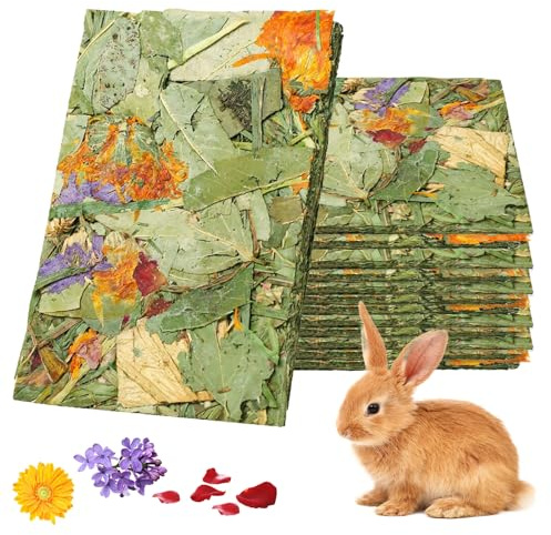 SUNOYA Jouets À Mâcher pour Lapin, 15 Pièces, Friandises pour Lapin, Foin Naturel Timothy Molaire pour Chinchilla Lapins Cochons d'Inde