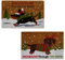 Premier Christmas Coir Doormat Sausage Dog Rubber Back Non Slip Entrance Door Mat Indoor Outdoor (40 x 60cm) Dachshund Assorted Design x 1