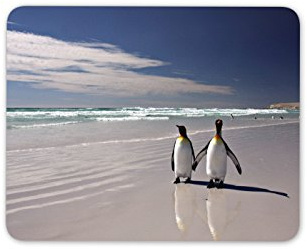 Destination Vinyl Ltd Penguin Pair Mouse Mat Pad - Love Valentines Cute Animal Gift PC Computer #8237