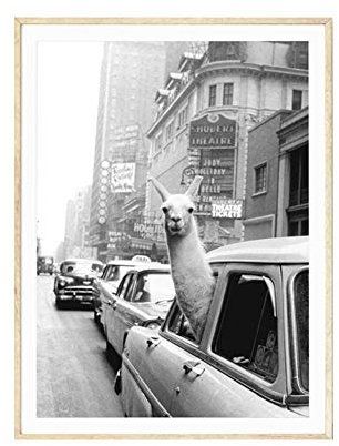 Ingrirt5Dulles Vintage Alpaka Poster Leinwand Malerei Wandkunst Bild Wohnzimmer Wohnkultur/geeignet für Schlafzimmer/Wohnzimmer/Hotel/Restaurant 50 * 70cm