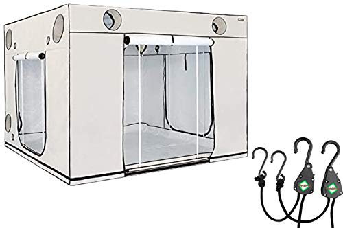 HOMEbox Ambient 300x300x220 cm - Zuchtzelt Growschrank Growzelt Zuchtbox Gewächszelt Homebox Lichtdicht Anbau Grow Indoor