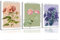 yulihaz Wandkunst, Vintage-Tayler-Blume, bunt, botanische Poster, Drucke, Set mit 3 Blumenmotiven, Leinwand-Wanddekoration, You're On Your Own Kid, Bilder für Schlafzimmer, Wohnzimmer, gerahmt, 30,5