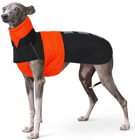 Whippet Mantel, Whippet Wintermantel Windhund Pullover Whippet Windhund Wintermantel Hundejacke für Windhunde Greyhound Winter Mantel