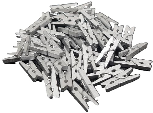 HSD Mini Wooden Pegs 100pcs Pack Mini Pegs for Decorative Photo Card Wall DIY Decorations Photo Clips Wooden Clothes Clip Tiny Peg Arts & Crafts Weddings & Events (Silver)