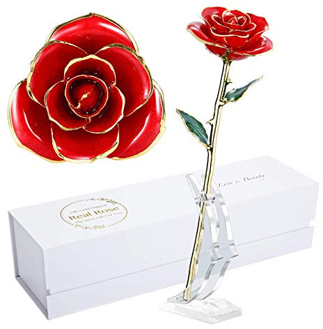 MAXSPT Rose en or 24 carats - Cadeau idéal pour la Saint-Valentin - Rose rouge avec support