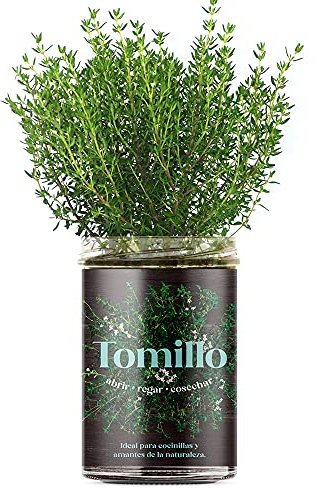 Resetea | Huerto de cocina | Tomillo