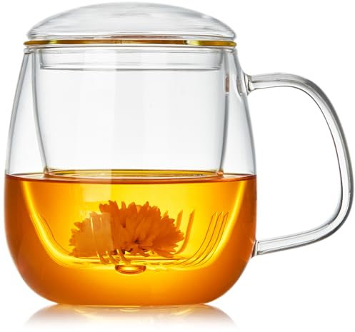 MESNEY Taza Infusiones con Tapa y Filtro 750 ml, Taza de Té con Filtro y Tapa de Borosilicato – Taza para Infusiones Grande y Transparente para Hojas Sueltas y Bolsas de Té