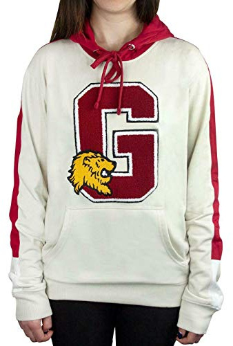 Harry Potter Hogwarts Gryffindor G Patch Logo Premium Hoody/Hoodie M Black
