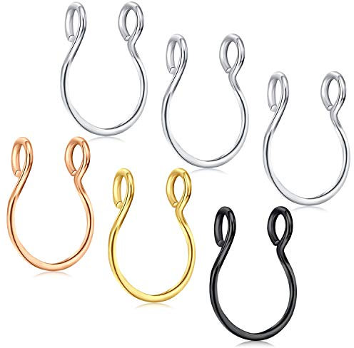 AceFun Acier Inoxydable Faux Anneaux de Nez 20G Piercing Nez sans Trou Anneau de Septum de Nez Bijoux de Piercing de Corps pour Hommes Femmes 6 pcs