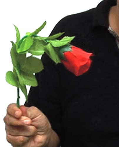 Rosa gehorsam - professionelle Magie Tricks geheimnisvolle Box mit Video erklären Artikel für Kinder Sammlerstücke der Marke