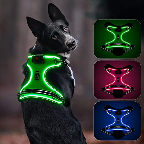 Leuchtendes Hundegeschirr, Colaseeme Anti Zug Hundegeschirr mit Reflexstreifen und Kontrolle Verstellbar Geschirr, LED Hundegeschirr Wieder, aufladbares Beleuchtetes Hundegeschirr, Grün XS