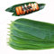 WINIAER Lot de 100 feuilles de bambou pour sushis, décoration de sushis, feuilles de bambou pour la cuisine, feuilles de bananier pour sashimi
