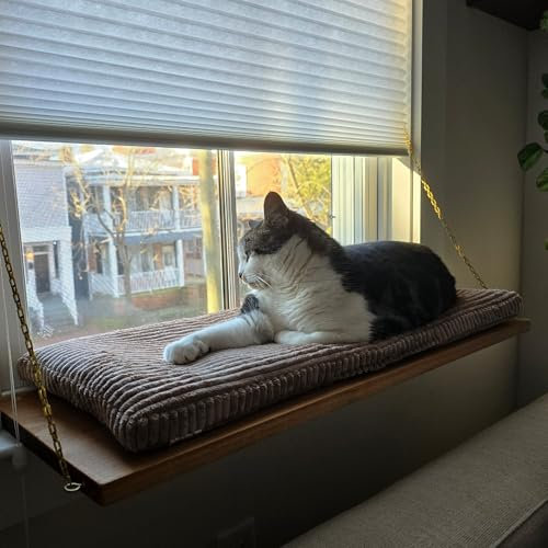 Fensterbank, Fensterbankmatte, Katzenbett. Größe wählen! Länge 50–120 cm x Breite 20–30 cm! Fenstersitz, Kissen, Polster. Farbe wählen. (Mehrfarbig, Länge - Bereich auswählen - 61-70 cm)