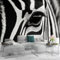 LUPAXA Papier Peint Zèbre Noir Et Blanc，315x215cm Animal Murales Poster pour le salon ou la chambre à coucher